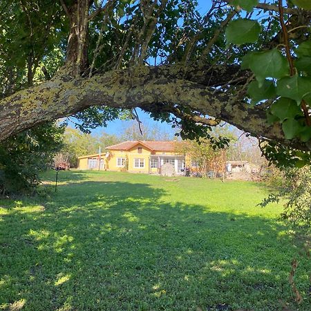 Ferienhaus Primorska Sunshine In Strandnaehe Shabla Exterior foto