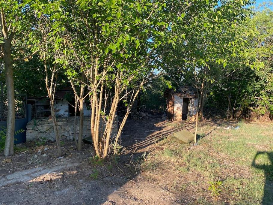 Ferienhaus Primorska Sunshine In Strandnaehe Shabla Exterior foto