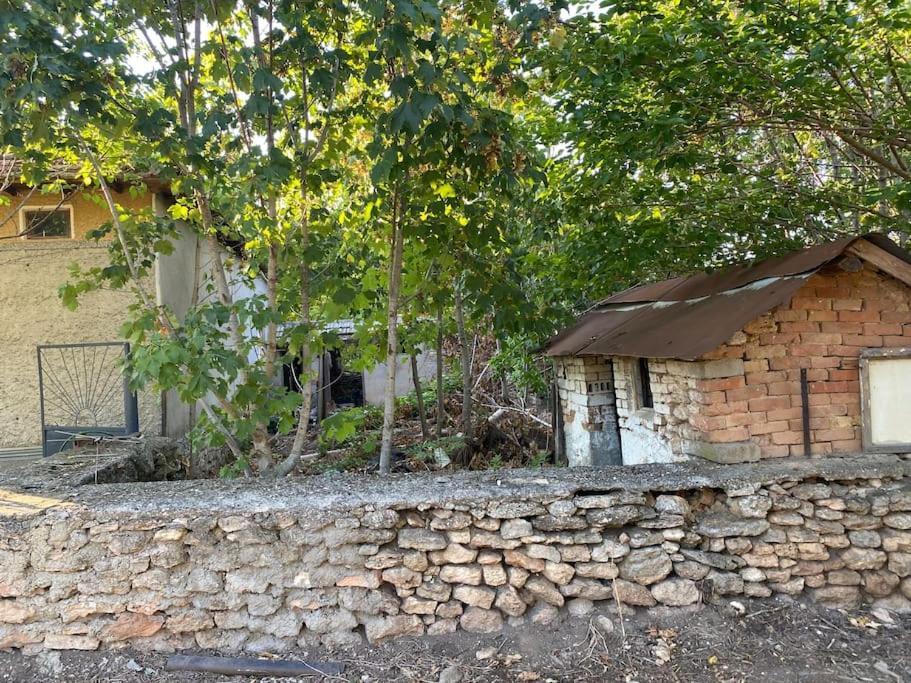 Ferienhaus Primorska Sunshine In Strandnaehe Shabla Exterior foto