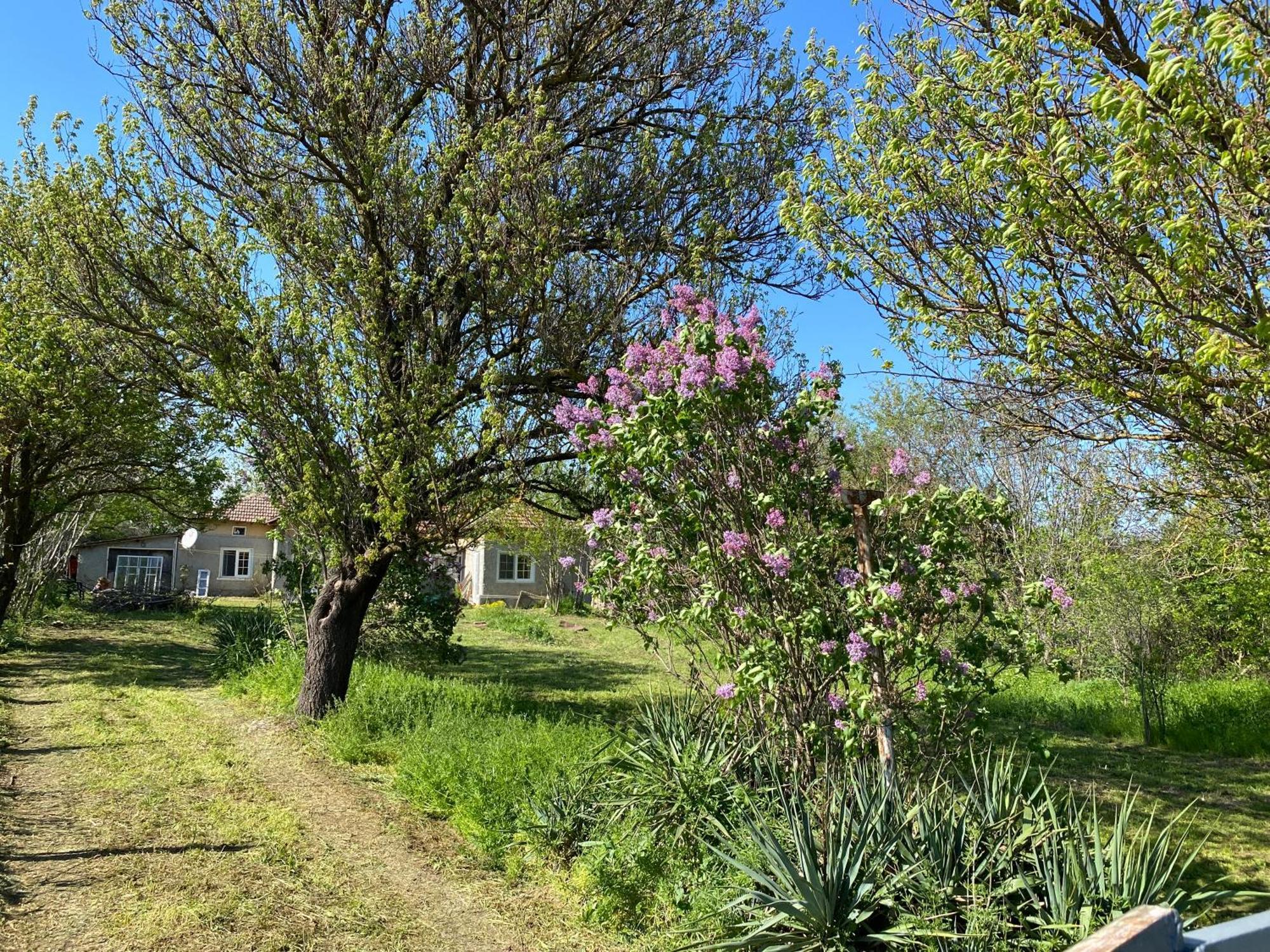Ferienhaus Primorska Sunshine In Strandnaehe Shabla Exterior foto