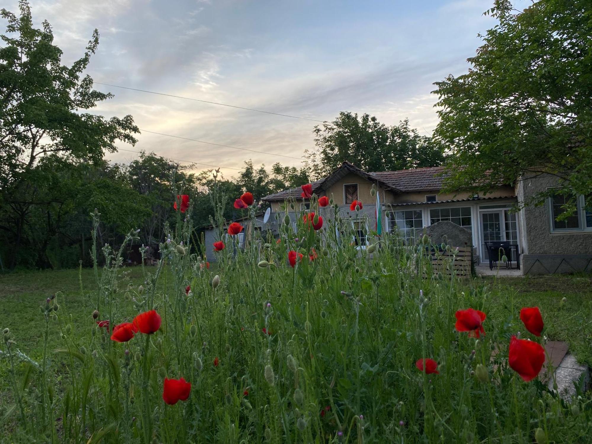 Ferienhaus Primorska Sunshine In Strandnaehe Shabla Exterior foto